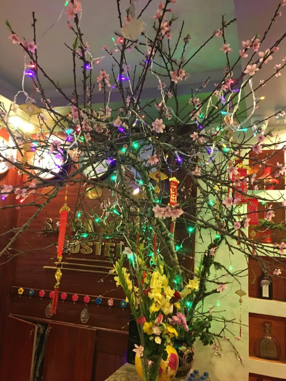 Sapa New Hostel エクステリア 写真